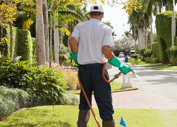 About Bronaugh MO Pest Control